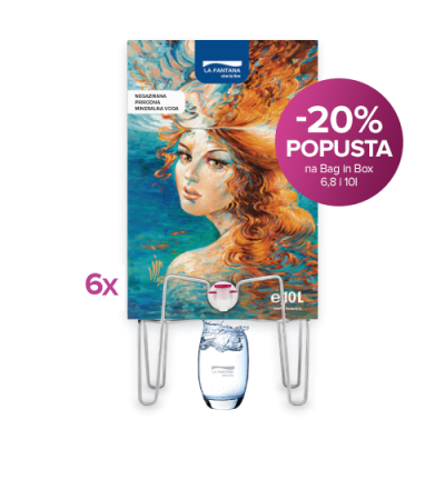 Bag-in-Box pakovanje (6 x 10l)